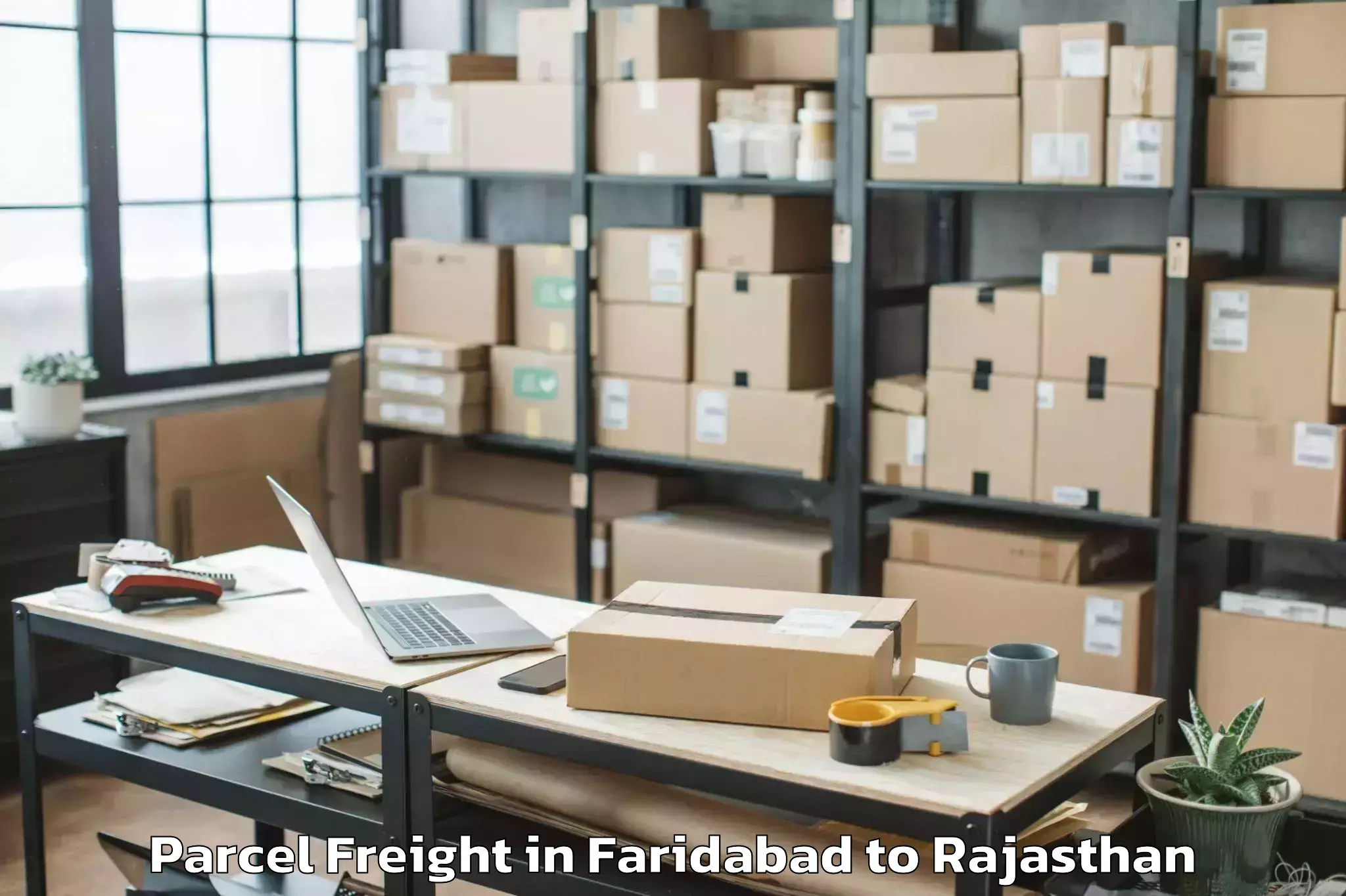 Easy Faridabad to Udpura Parcel Freight Booking